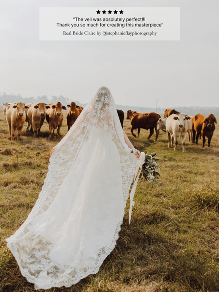 Corded Rose Lace Veil