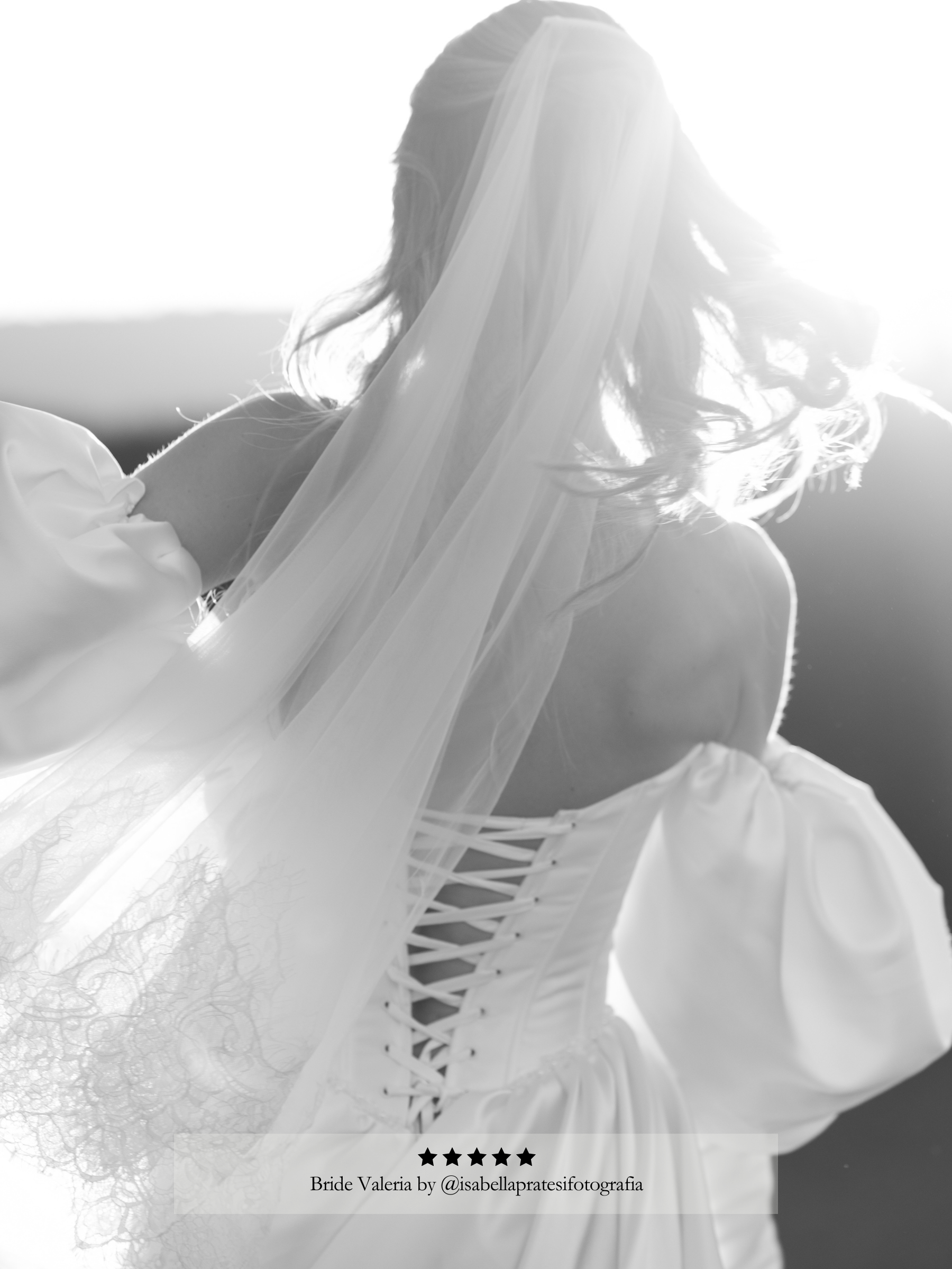 Queen Anne Lace Blusher Veil