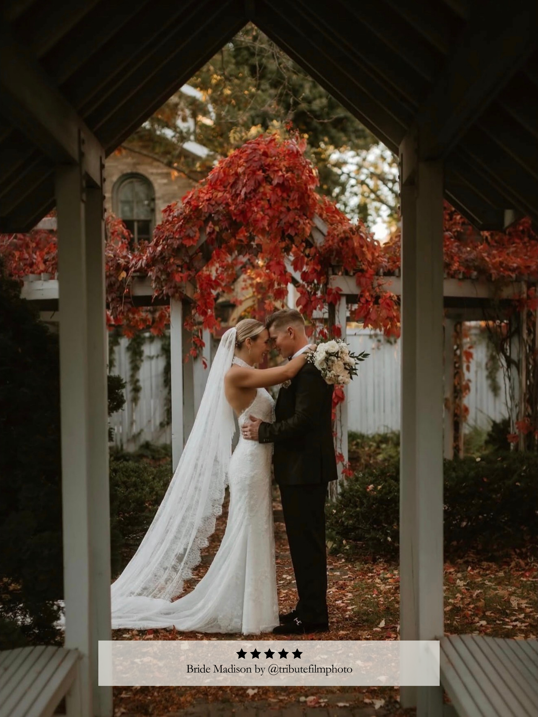 Angel Chantilly Lace Veil
