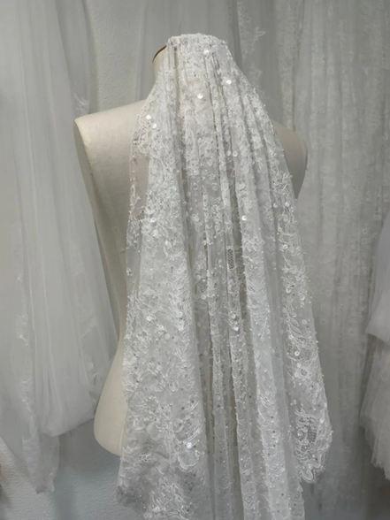 Angel Sparkle Lace Veil