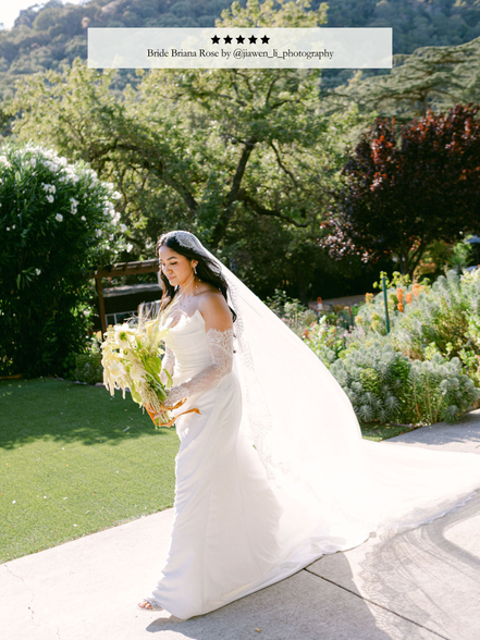Crochet Lace on Tulle Veil