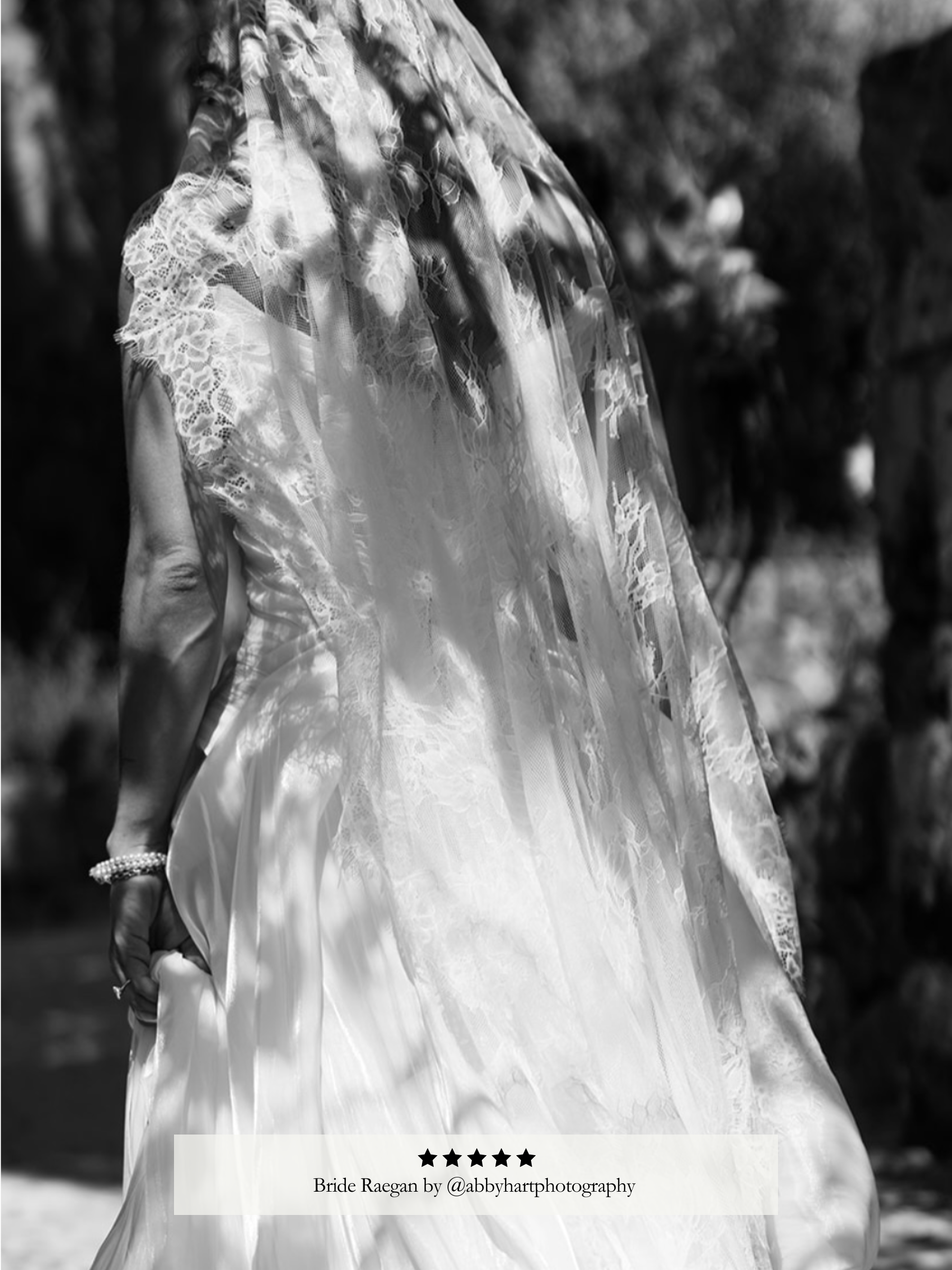 Lily Lace Veil