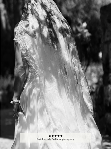 Lily Lace Veil