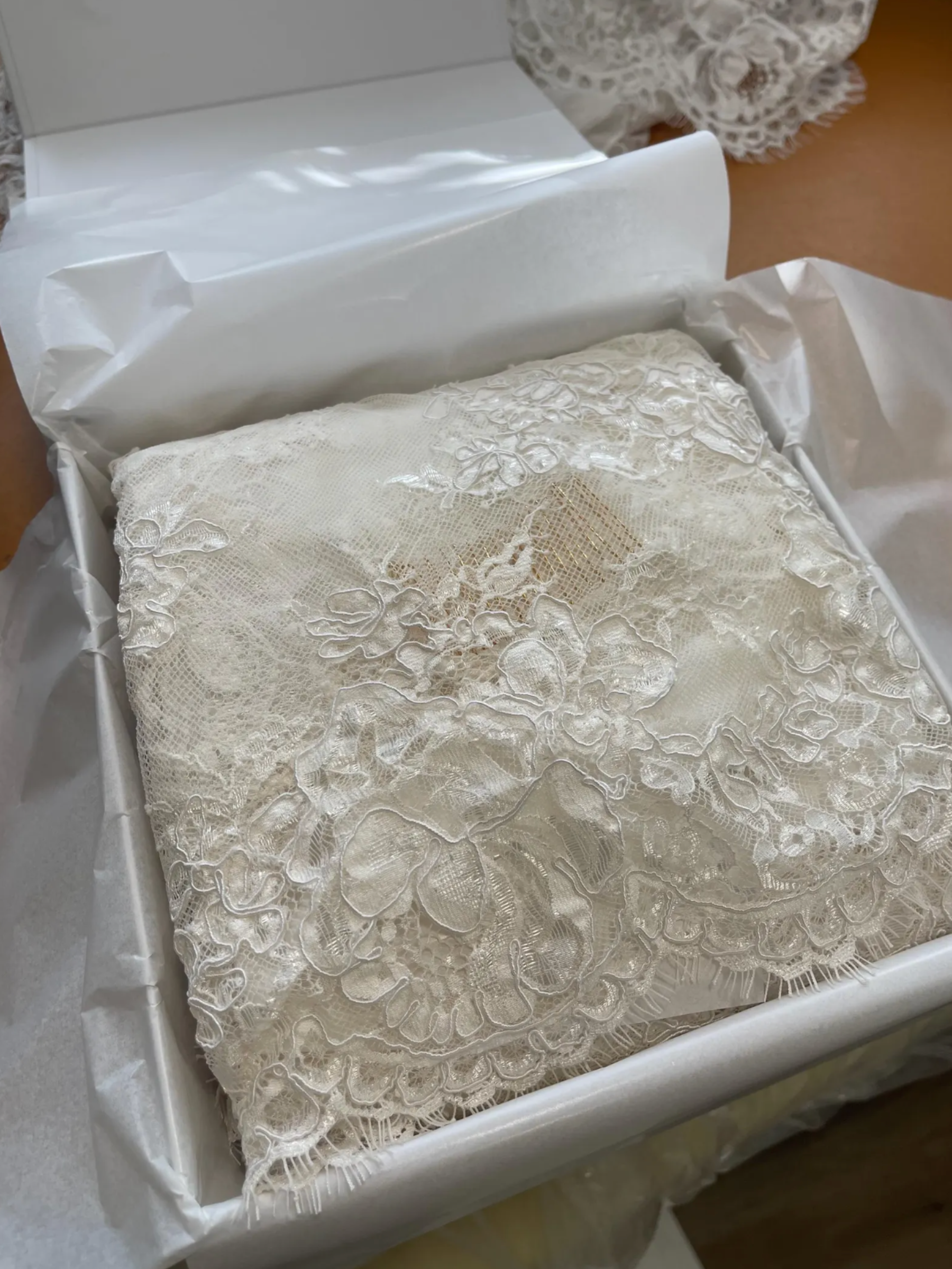 Corded Rose Lace Veil