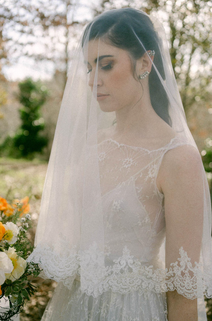 Abby Lane Blusher Veil
