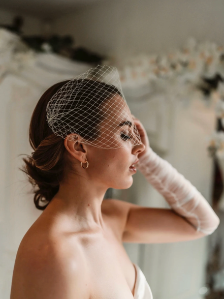 Birdcage Veil