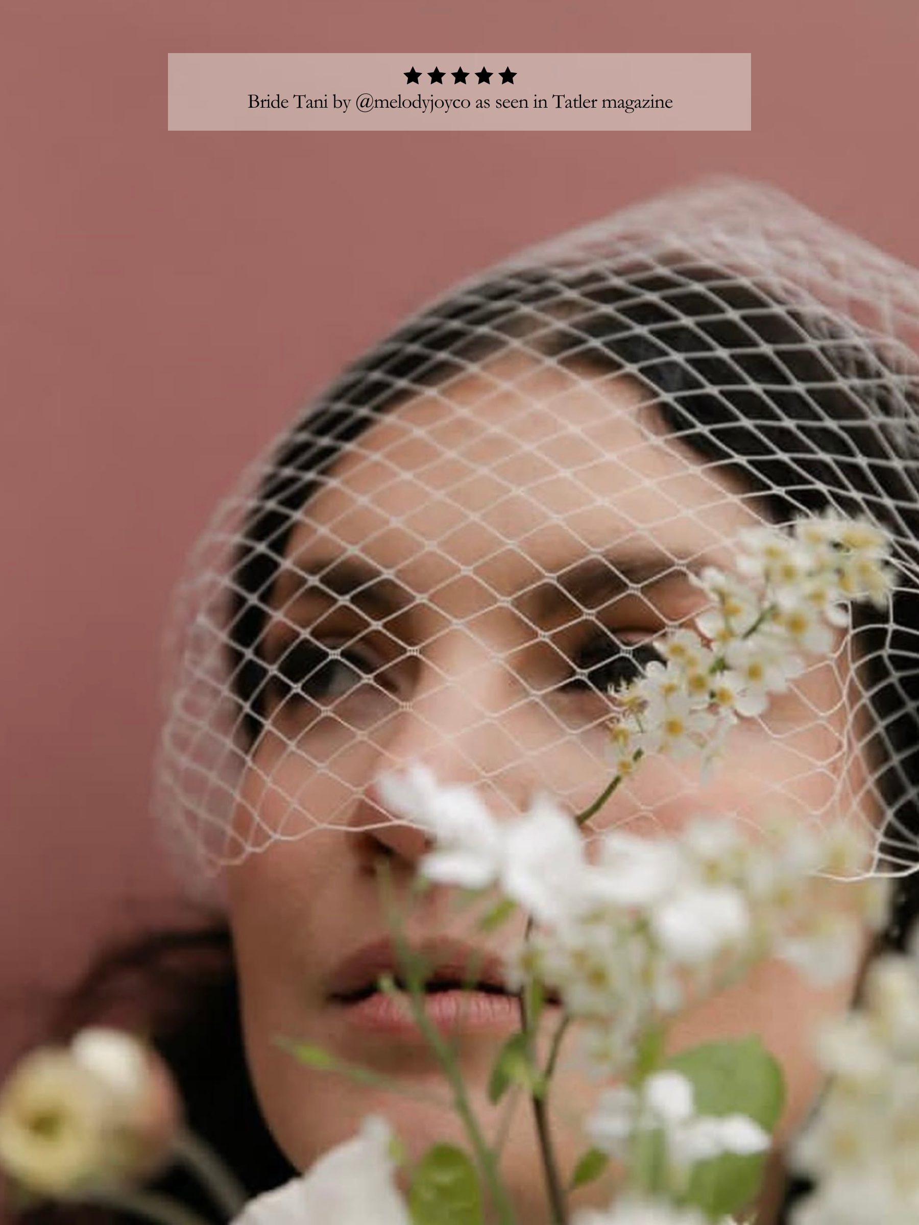 Birdcage Veil