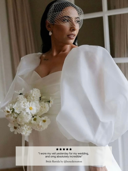 Birdcage Veil