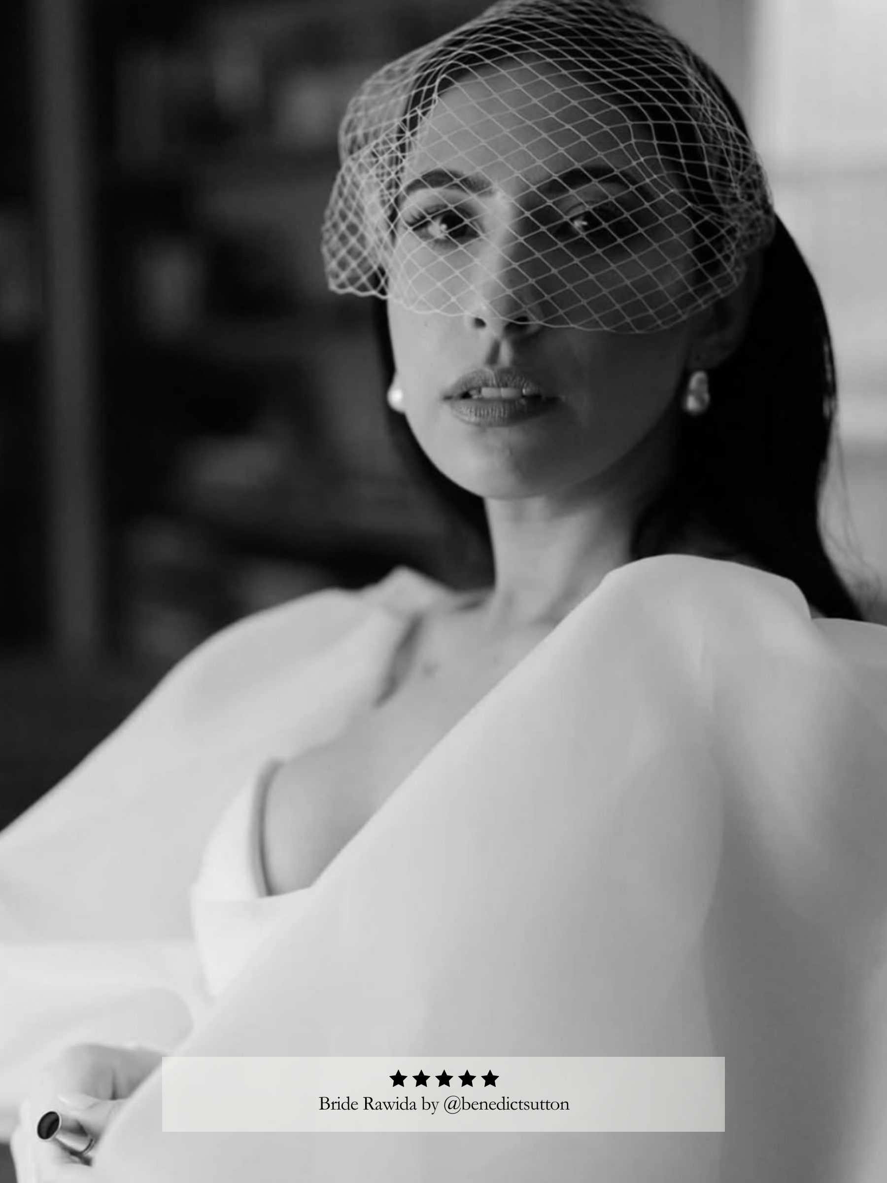 Birdcage Veil