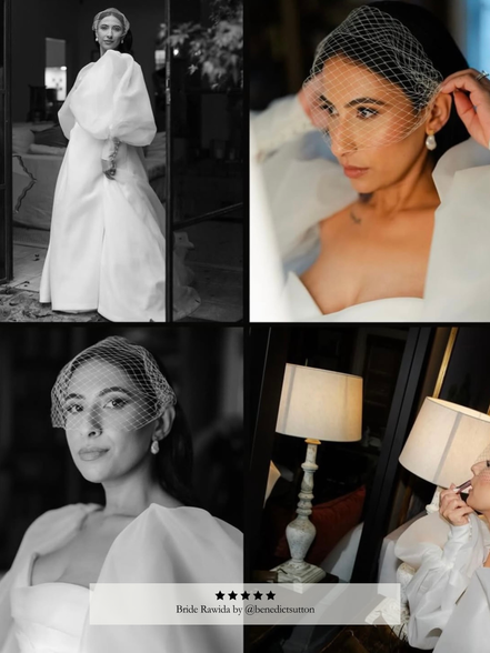 Birdcage Veil