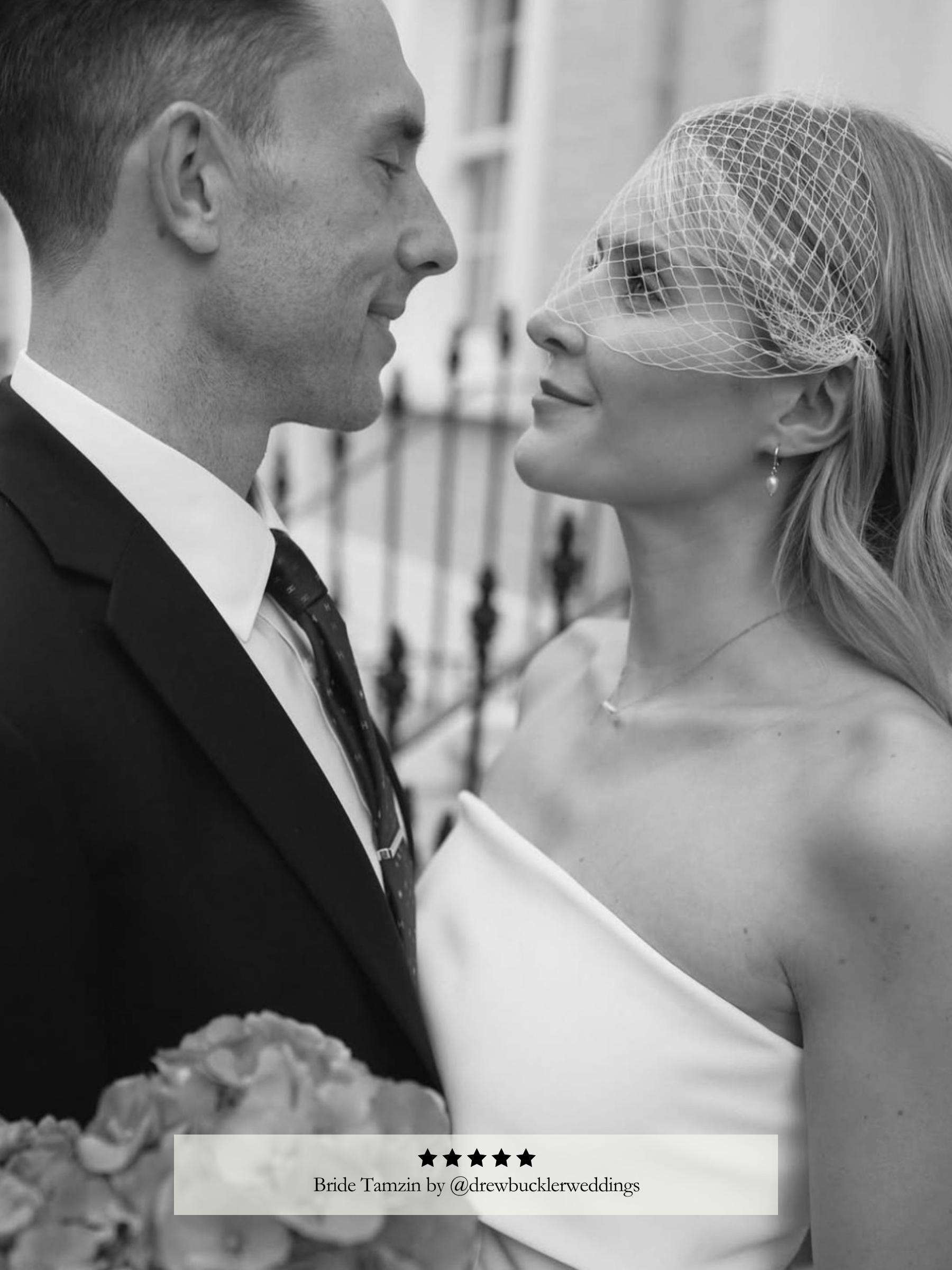 Birdcage Veil