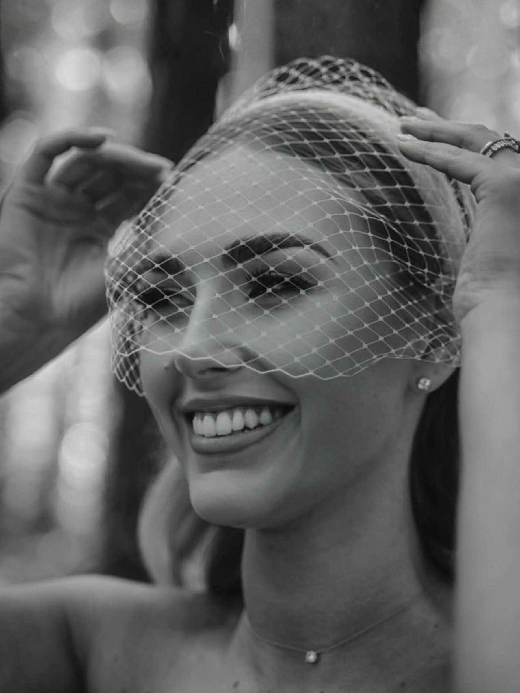 Birdcage Veil