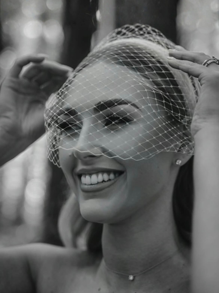 Birdcage Veil