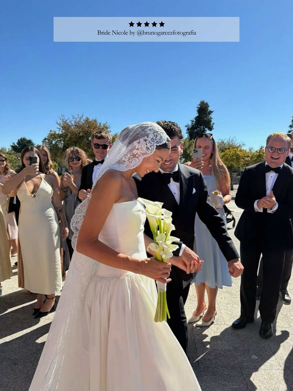 Lace on Lace Veil