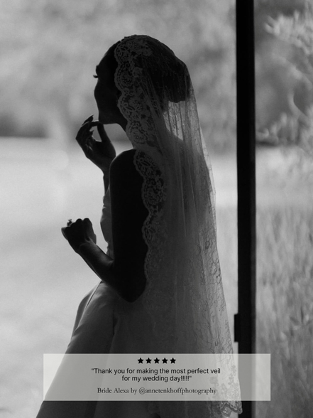 Lace on Lace Mantilla Veil