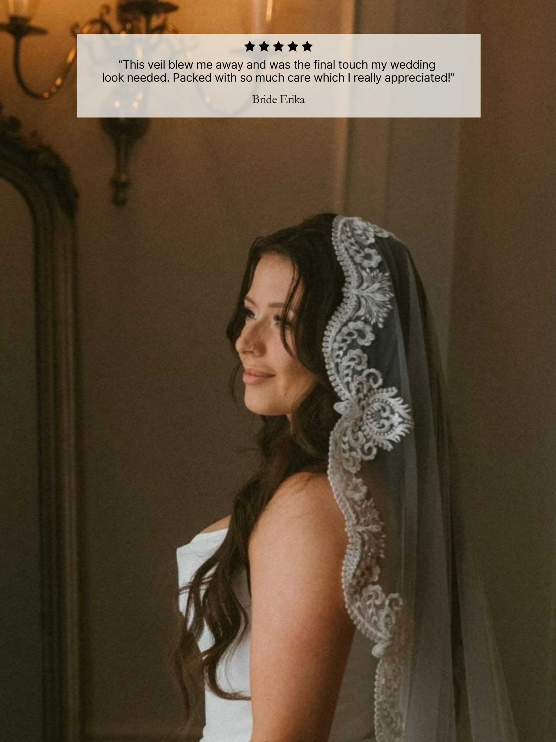 Antique Beaded Lace Veil