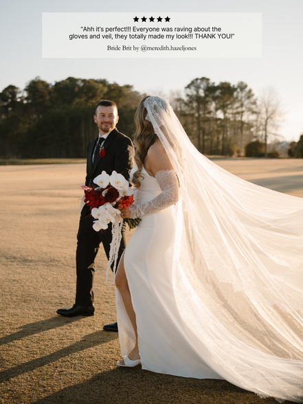 Queen Anne Lace Veil