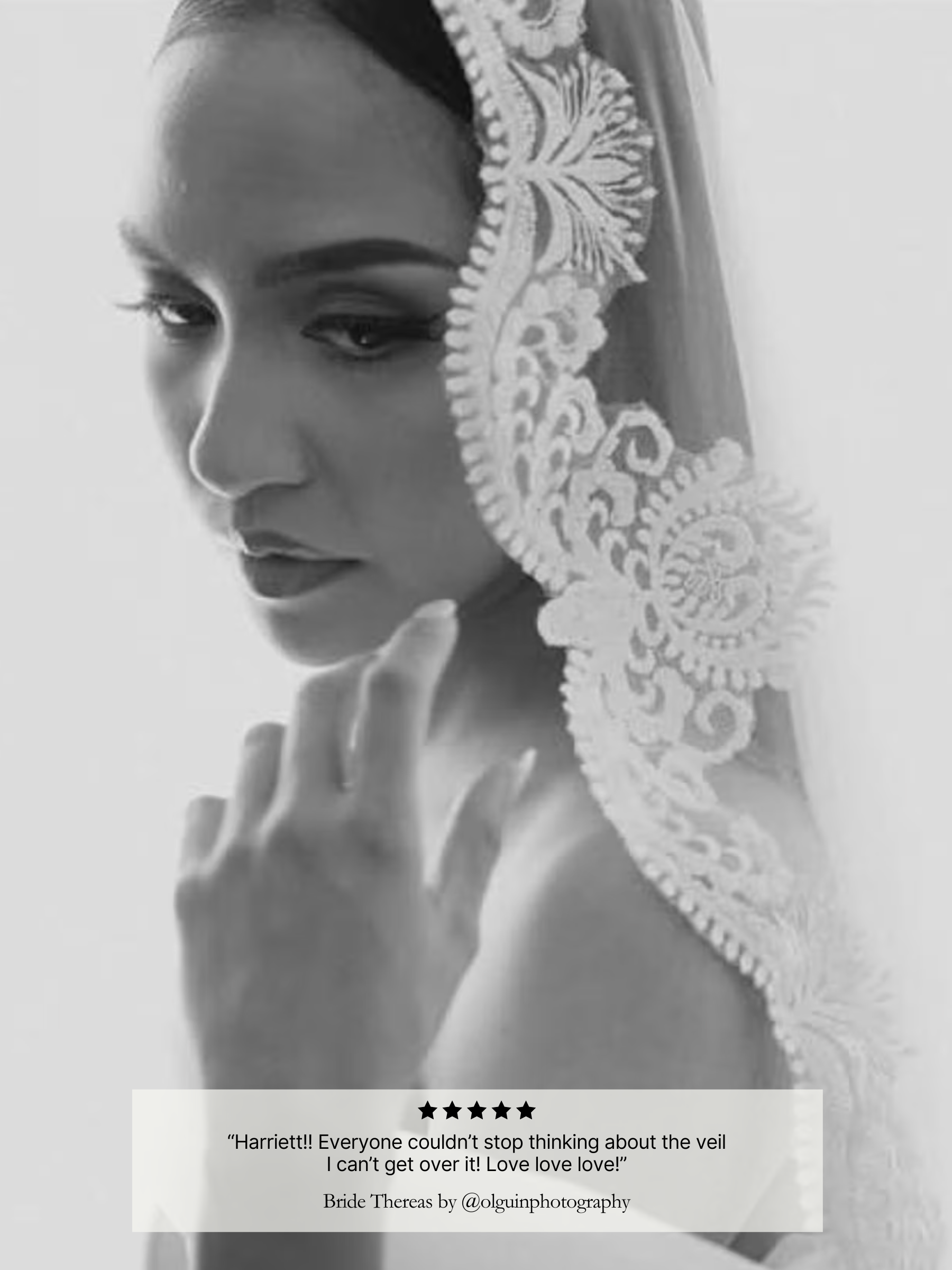 Antique Beaded Lace Veil