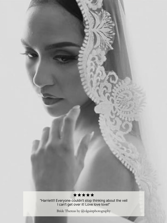 Antique Beaded Lace Veil