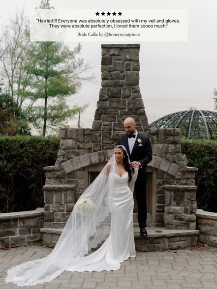 Queen Anne Lace Veil