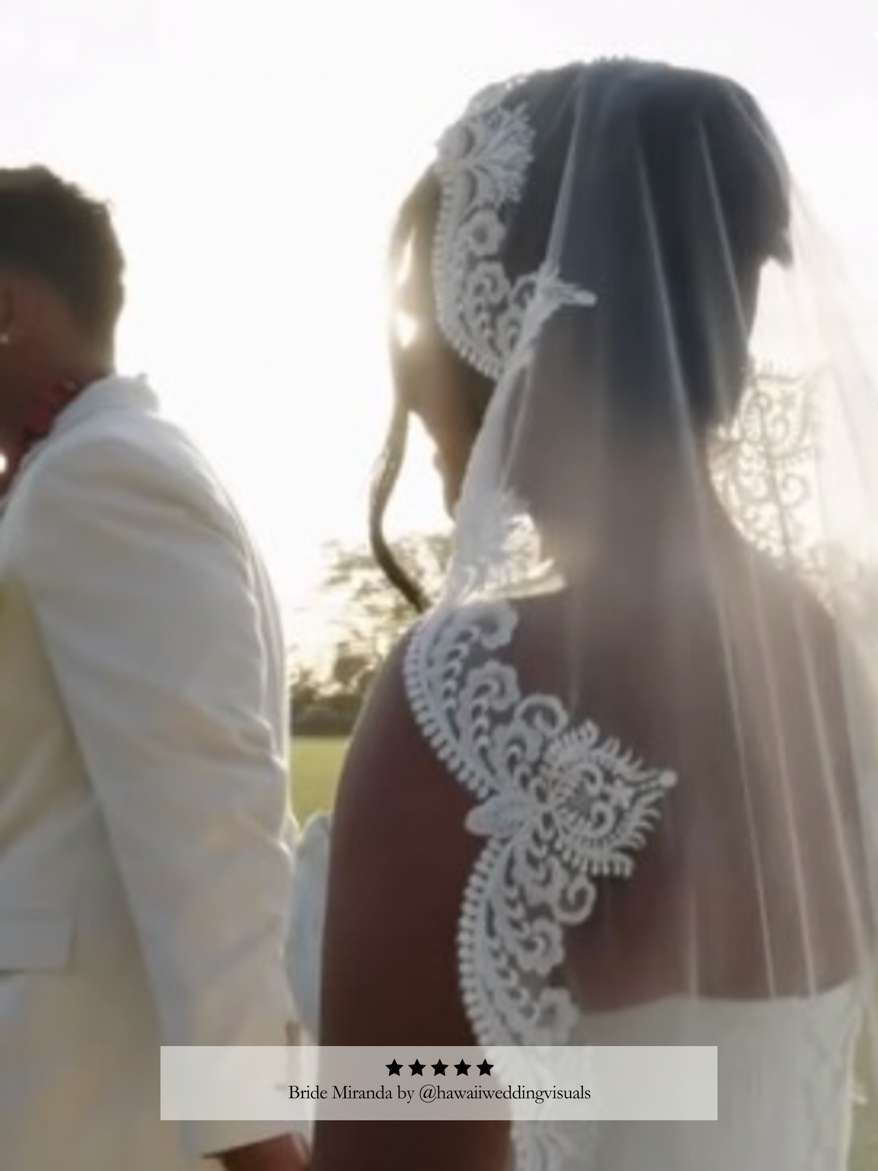 Antique Beaded Lace Veil