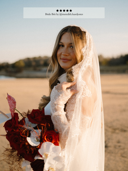 Queen Anne Lace Veil