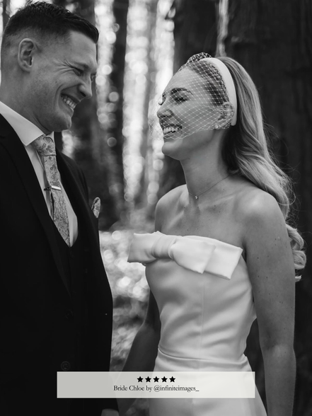 Birdcage Veil