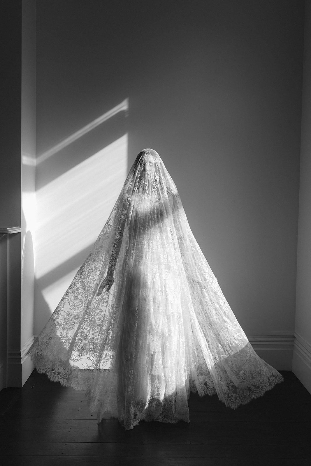 Extra Wide Lace Showstopper Veil
