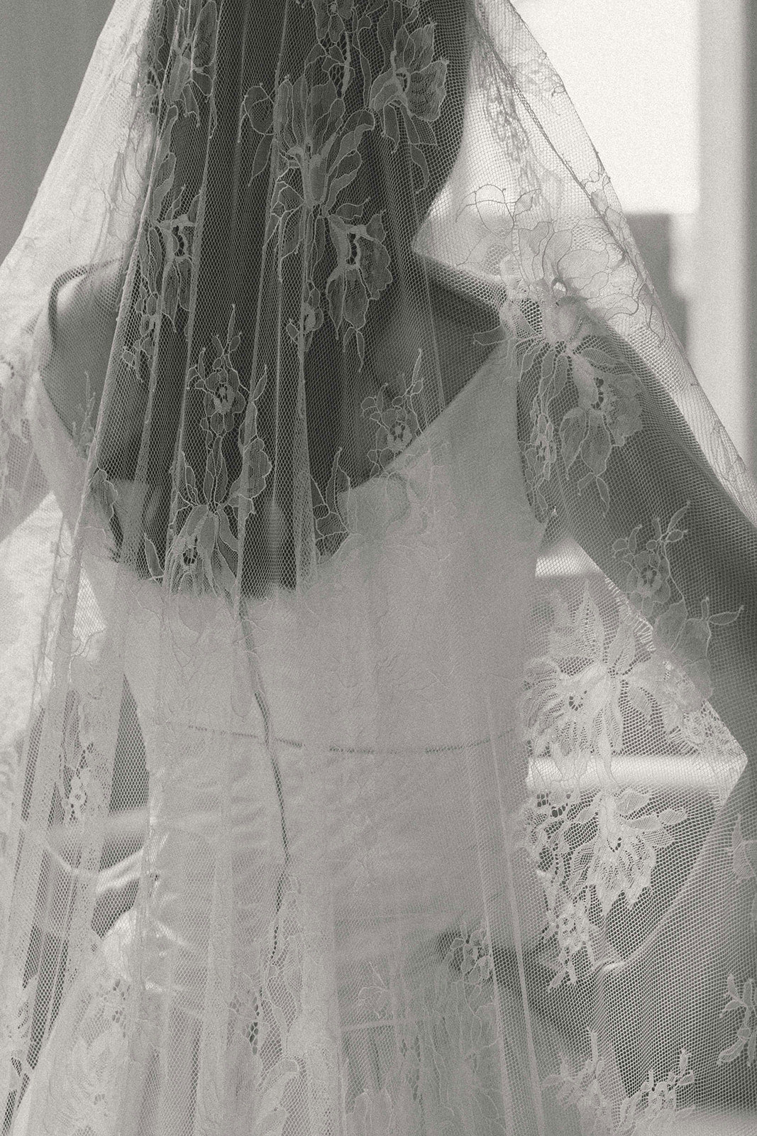 Lily Lace Veil