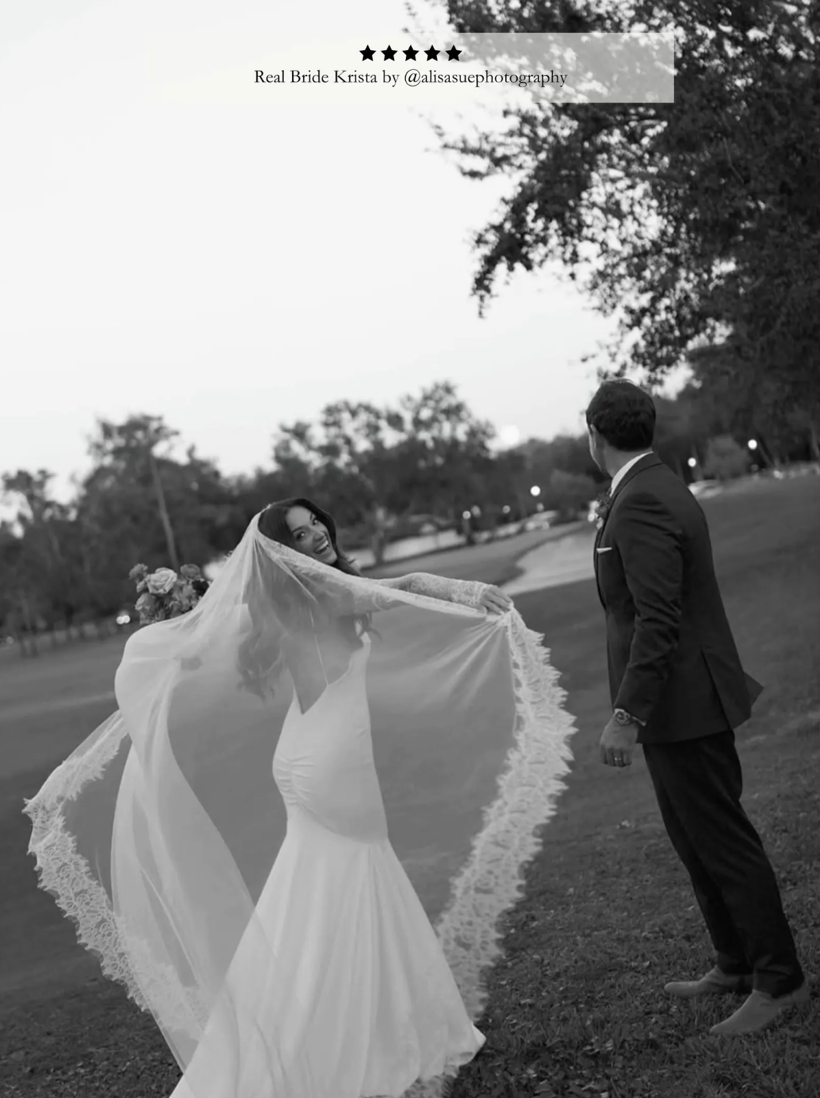 Cream Extra Wide Lace Veil