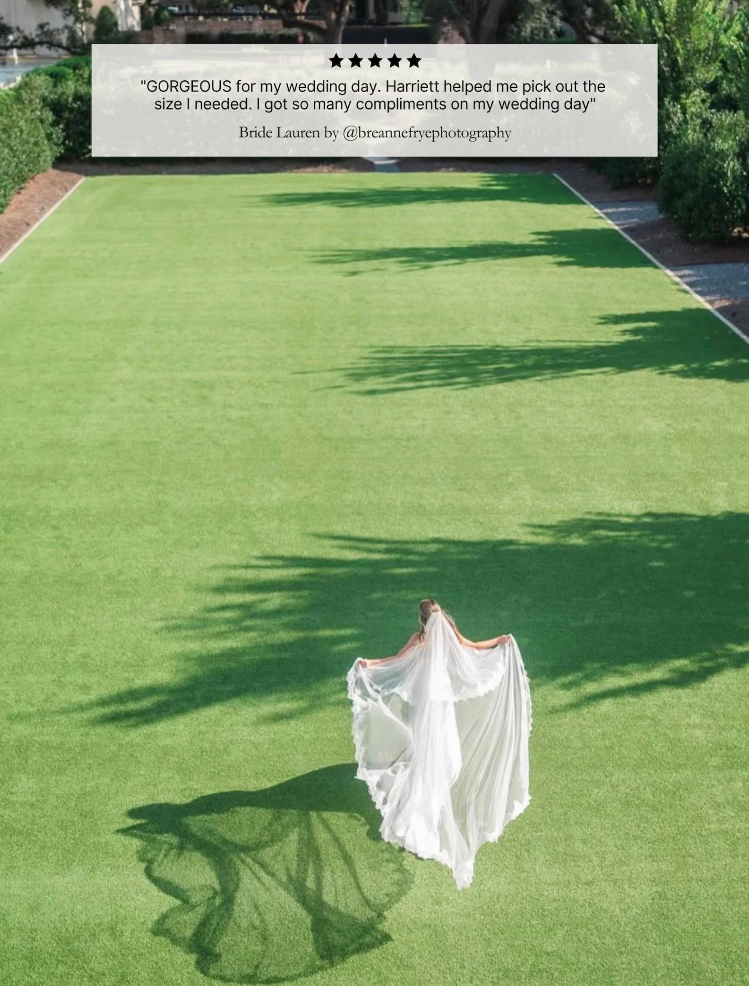 Classic Chantilly Blusher Veil